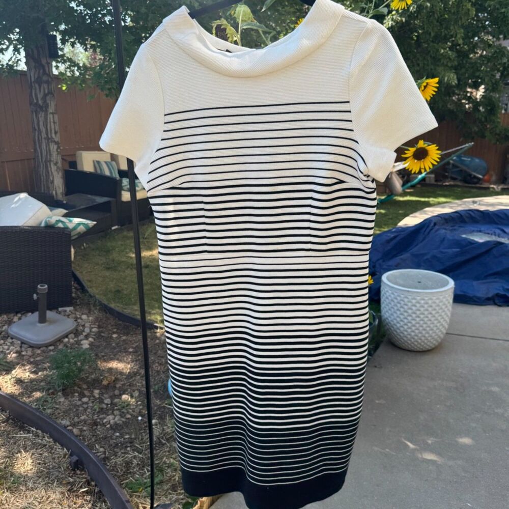 Talbots Black and White Knee-Length Dress Short Sleeve Accent Collar - Picture 6 of 9